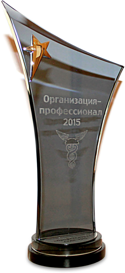 Награда "Организация - профессионал года 2015"